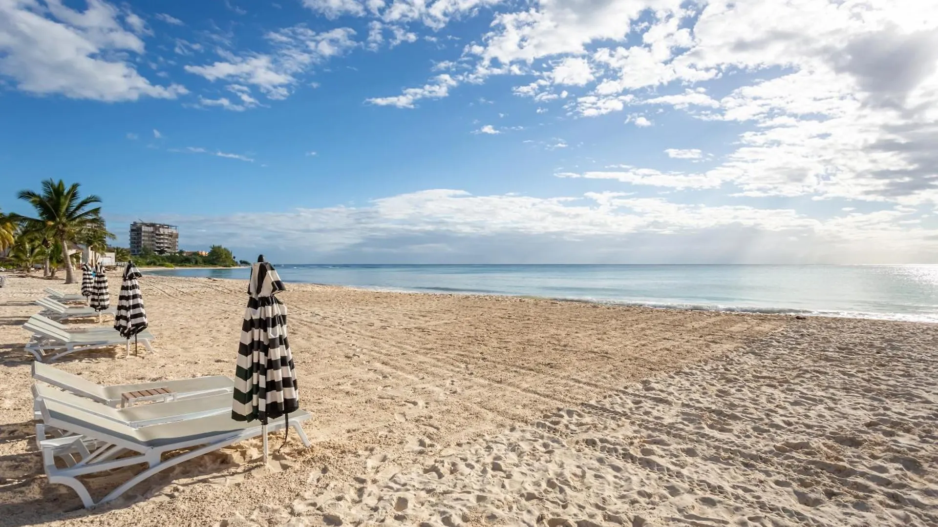 Casa Diva Stunning Ph Ocean View 2 Bedroom & Office At Mareazul Apts Playa del Carmen Apartment